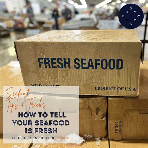 fresh fish for sale|Oceanbox Seafood .